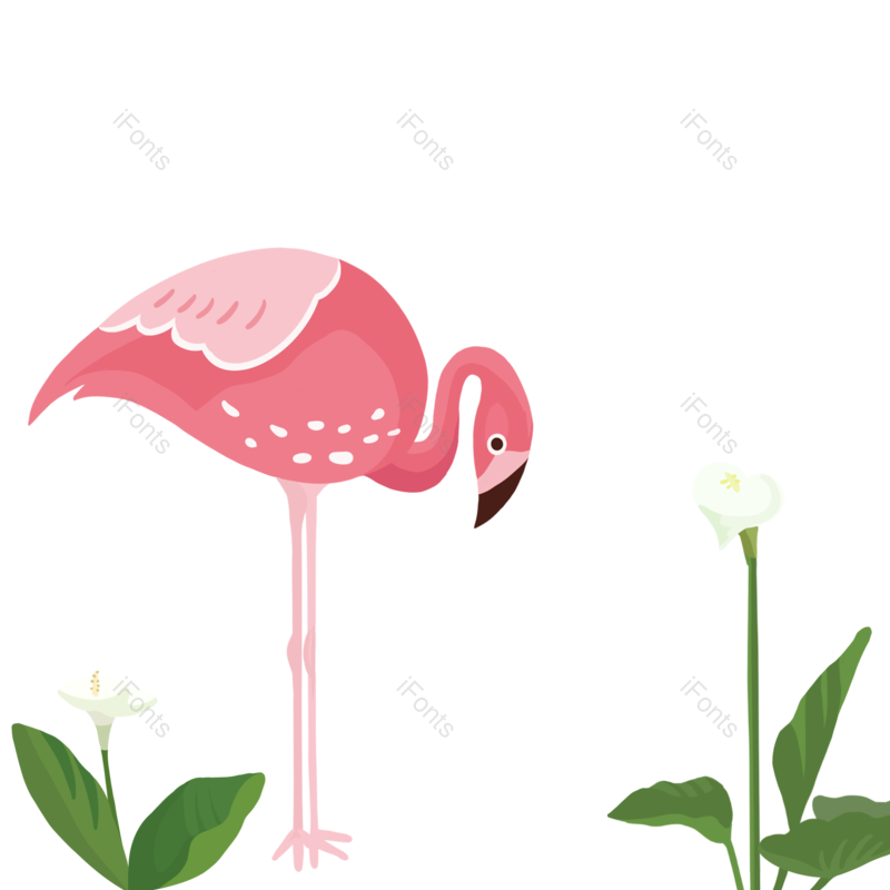 夏天图片,植物元素,PNG,免抠素材